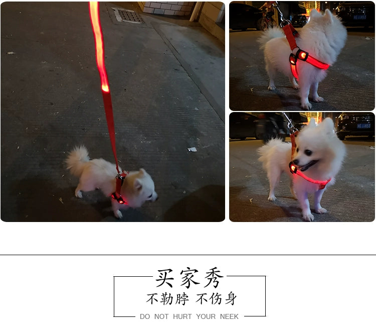 Dog Hand Holding Rope Vest Led Luminous Chest and Back Teddy Chain Summer Luminous Dog Leash Small USB Charging