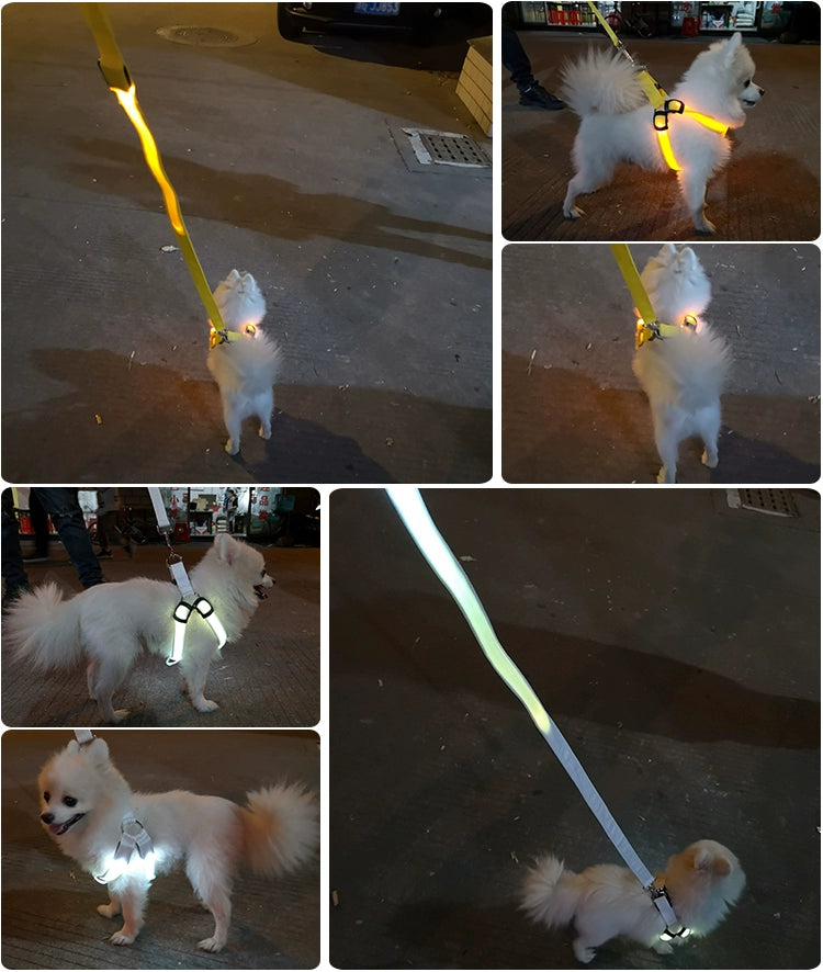Dog Hand Holding Rope Vest Led Luminous Chest and Back Teddy Chain Summer Luminous Dog Leash Small USB Charging