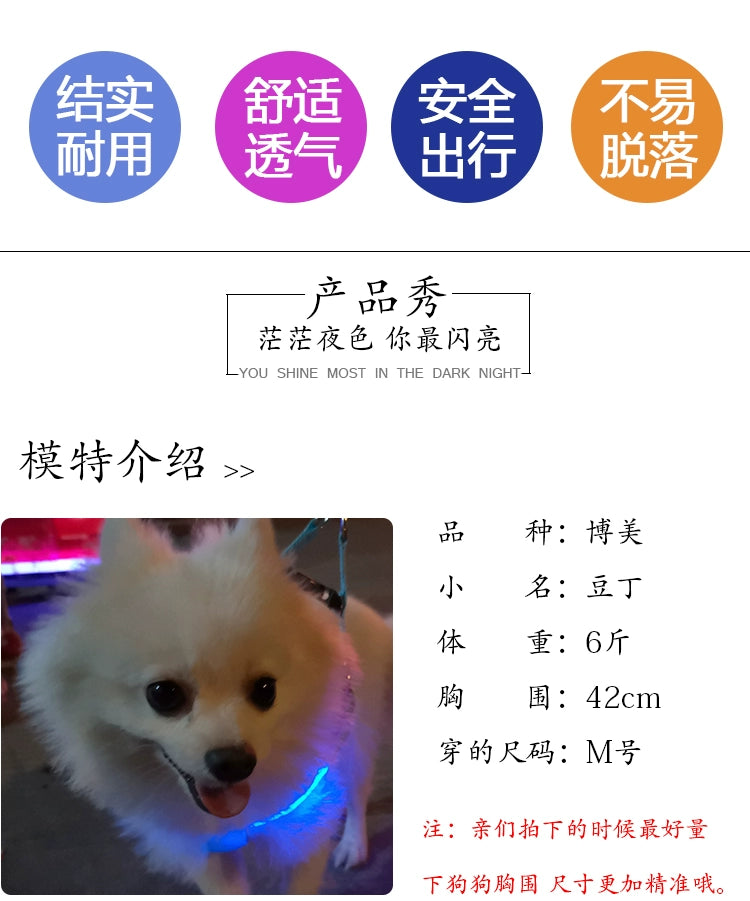 Dog Hand Holding Rope Vest Led Luminous Chest and Back Teddy Chain Summer Luminous Dog Leash Small USB Charging