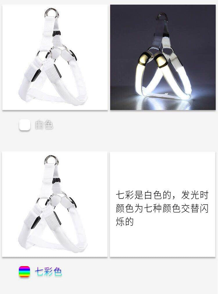Dog Hand Holding Rope Vest Led Luminous Chest and Back Teddy Chain Summer Luminous Dog Leash Small USB Charging