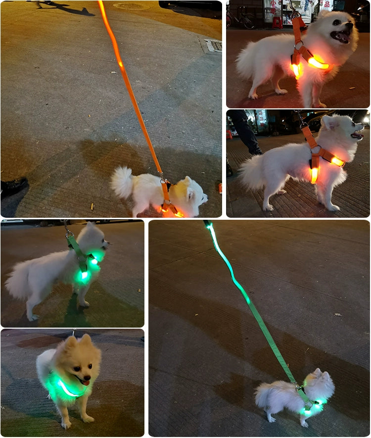 Dog Hand Holding Rope Vest Led Luminous Chest and Back Teddy Chain Summer Luminous Dog Leash Small USB Charging