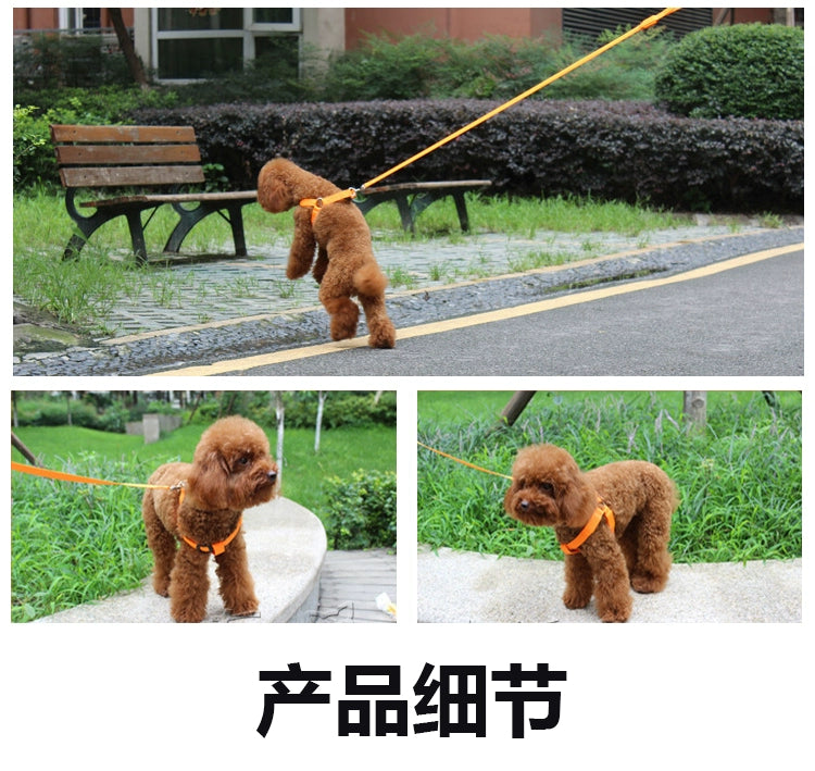 Dog Hand Holding Rope Vest Led Luminous Chest and Back Teddy Chain Summer Luminous Dog Leash Small USB Charging
