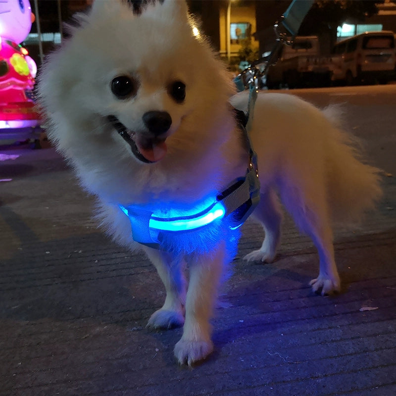 Dog Hand Holding Rope Vest Led Luminous Chest and Back Teddy Chain Summer Luminous Dog Leash Small USB Charging