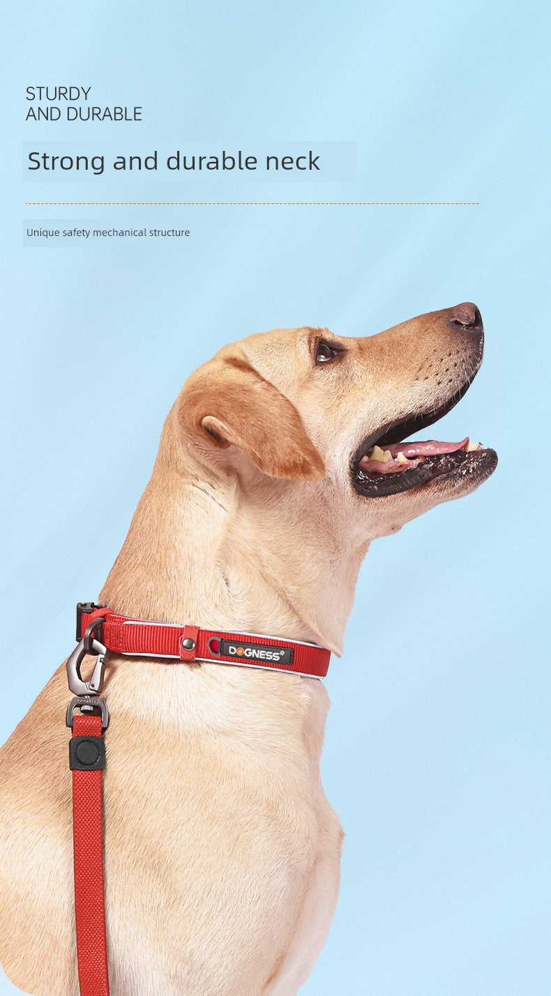 Donis Pet Medium-Sized Dog Dog Collar