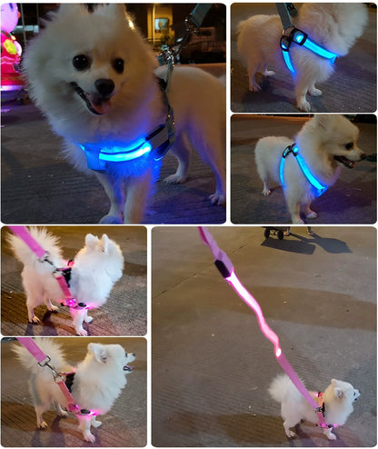 Dog Hand Holding Rope Vest Led Luminous Chest and Back Teddy Chain Summer Luminous Dog Leash Small USB Charging