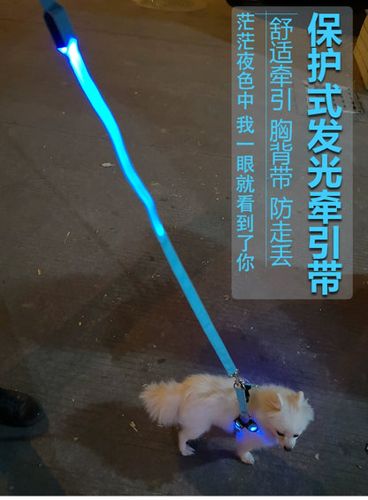 Dog Hand Holding Rope Vest Led Luminous Chest and Back Teddy Chain Summer Luminous Dog Leash Small USB Charging