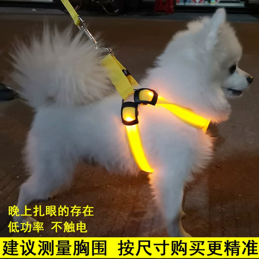 Dog Hand Holding Rope Vest Led Luminous Chest and Back Teddy Chain Summer Luminous Dog Leash Small USB Charging