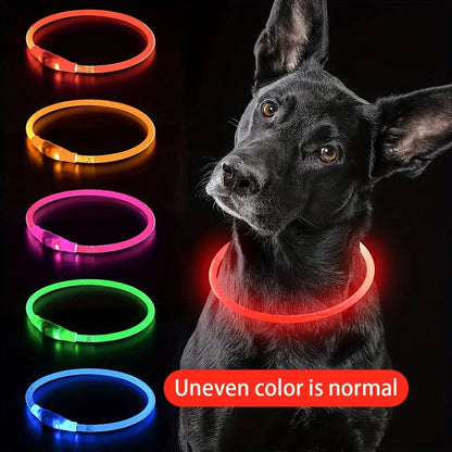 Pet Dog LED Light Collar Luminous Anti-Lost Dog Collar USB Rechargeable Dog Necklace Collar