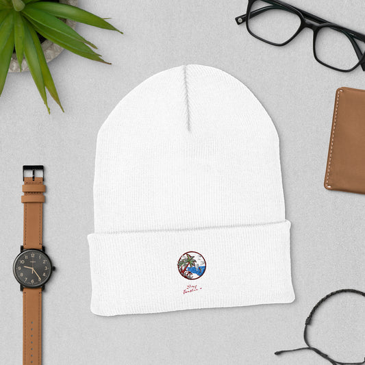 Dune & District Cuffed Beanie