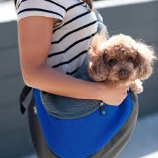 Portable Crossbody Pet Carrier - Mellisa Masini Collections